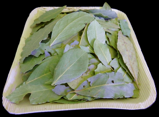 Lorbeeblätter